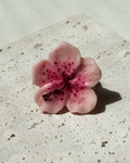 Hibiscus Gyűrű - Baby pink