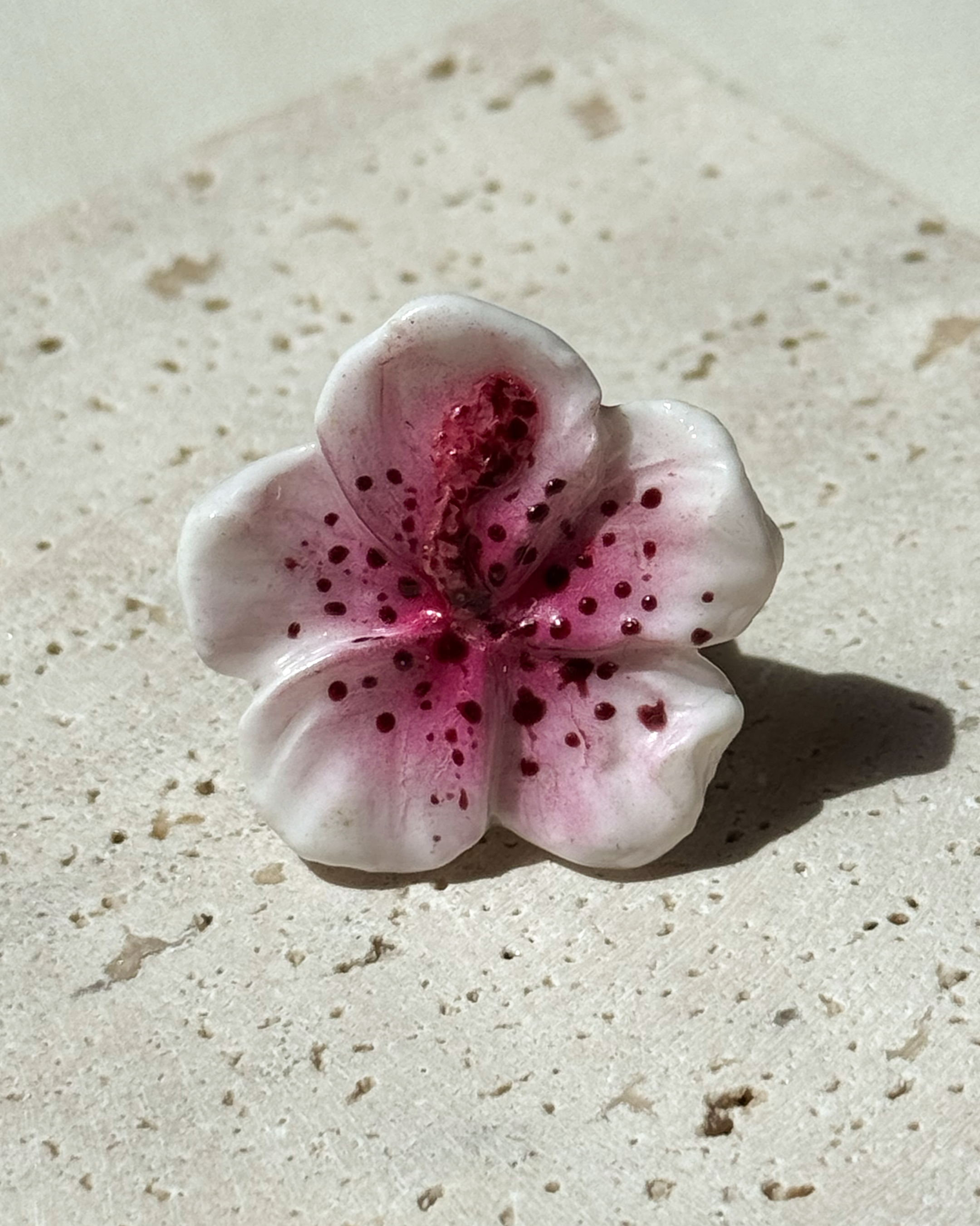 Hibiscus Gyűrű - Fehér, Bordó