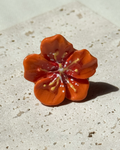 Hibiscus Gyűrű - Narancssárga